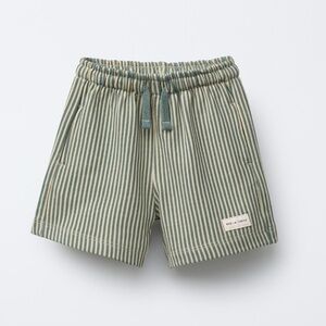 Zara Sage/Green Striped Shorts